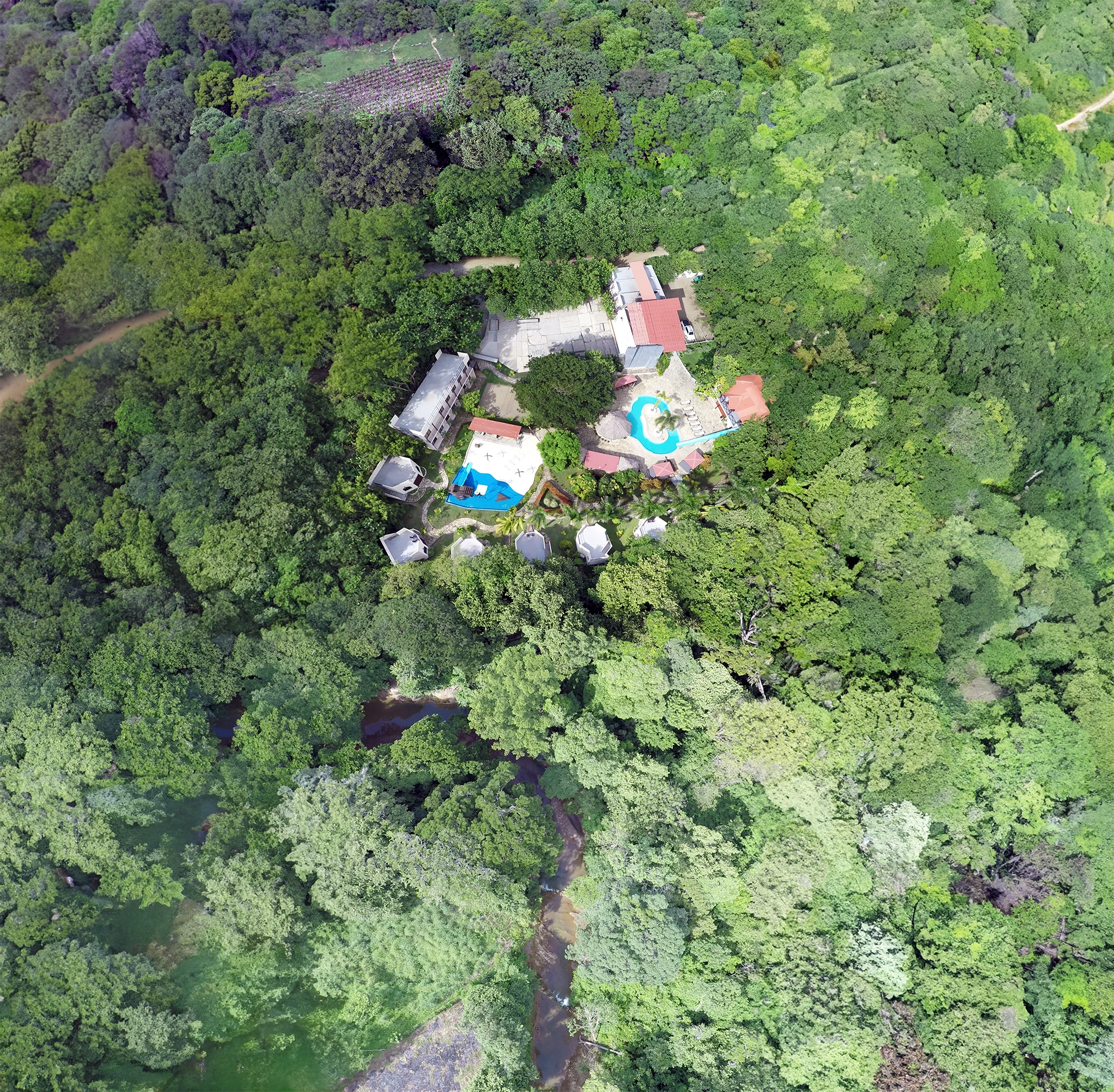 Aerial view of Surf Ranch surrounded by tropical greenery